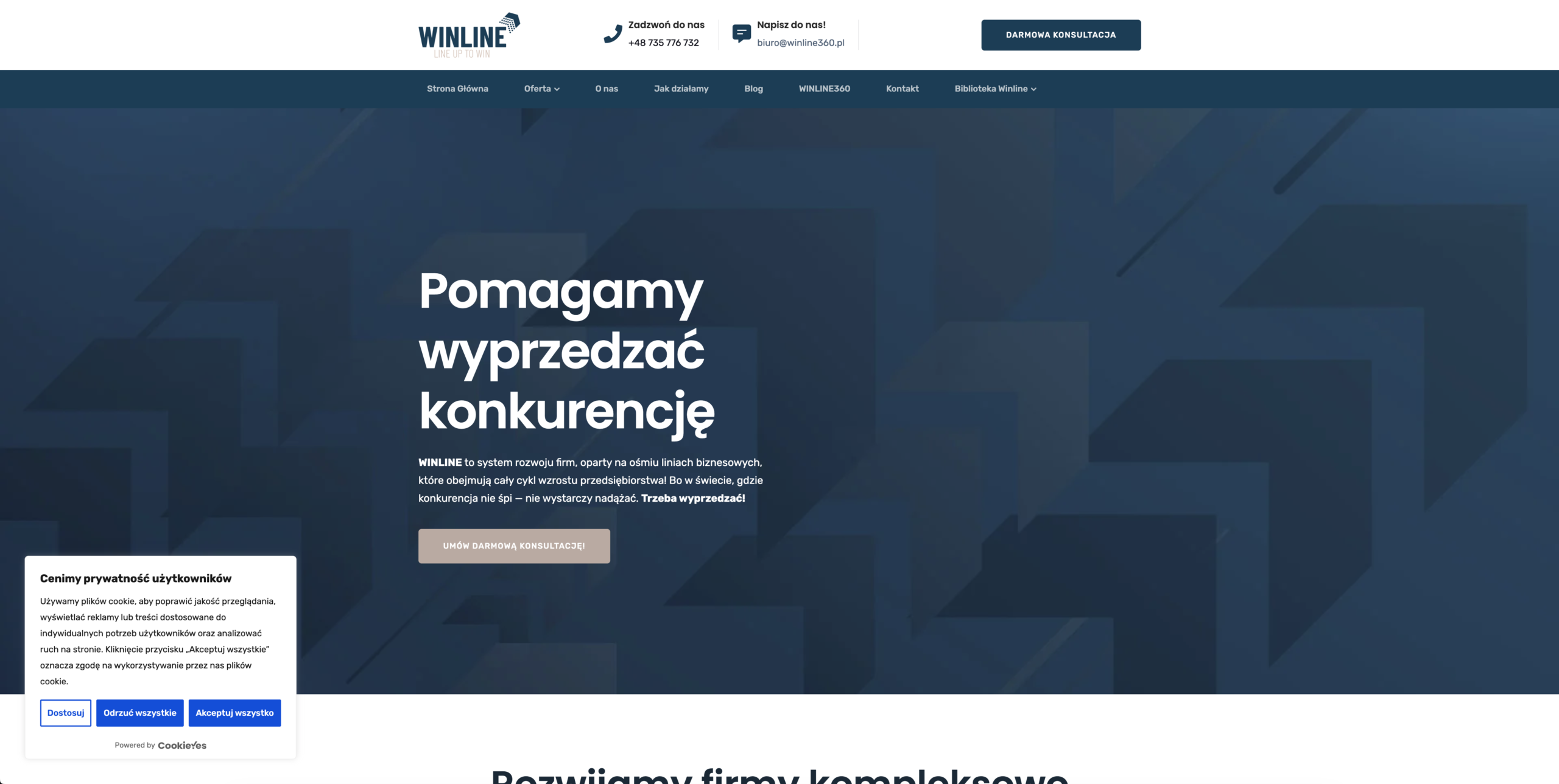 Projekt strony internetowej dla firmy - realizacja Winline360